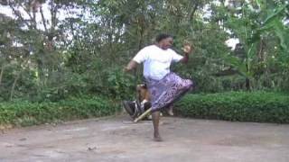 Luo Nyatiti Music amp Dance [upl. by Orvan]