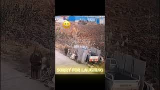 Sorry For Laughing Trending Laughsbestfunnyvideos [upl. by Carmelita]