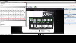 Microscan AutoVISION Label Inspection and Verification [upl. by Stewart249]