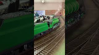 GSSU Gembrook Australia 8th10th November 202443 livesteaming train railwaymodeling modeltrain [upl. by Htnicayh210]