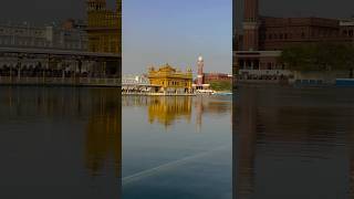 Dhan Shri Guru Ramdas Sahib Ji darbarsahib hukamnama youtubeshorts travel trending [upl. by Eimam]