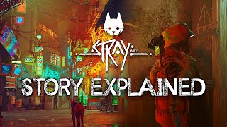 Stray  Story Explained [upl. by Morry]