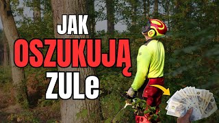 Jak oszukują ZULe  Okiem ZULa  Gwarancje24 [upl. by Finstad]