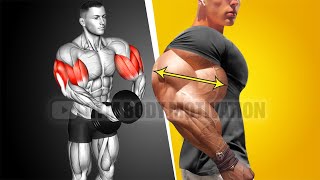 Best Bicep and Tricep Workout for Bigger Arms [upl. by Htebzile706]