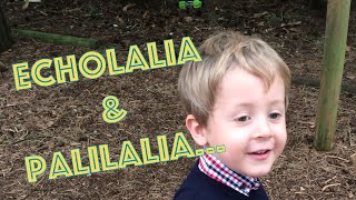 Echolalia amp Palilalia  What does Echolalia sound like  Autism Awareness  ASD  Child Speech Delay [upl. by Eigger]