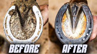 Satisfying Full Horse Hoof Restoration  4K FARRIER ASMR [upl. by Piane]