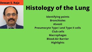 Histology of the Lung [upl. by Rodrick]