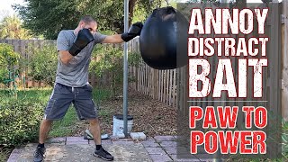 Annoy Distract Bait Then Hit These 3 Power Punches from Pawing Jabs Boxing MMA Fighting [upl. by Limoli]