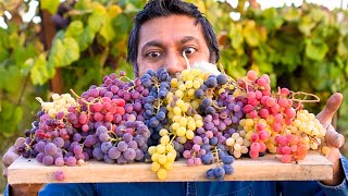 7 Varieties of Grapes YOU MUST GROW [upl. by Nlycaj20]