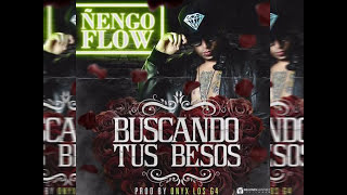 Nengo Flow  Buscando Tus Besos Official Audio [upl. by Noma]