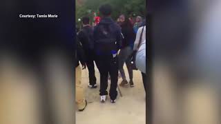 RAW Outside student video of large fight at Arsenal Tech High School [upl. by Seldun]