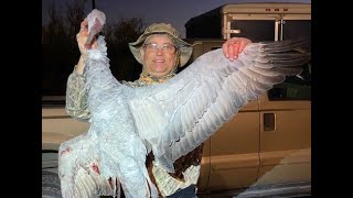 Sandhill crane hunt November 9 2024 [upl. by Schulman]