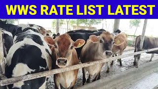 WORLD WIDE SIRES RATE list 2024 [upl. by Einnus]