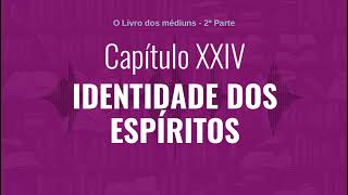 Capítulo XXIV  Parte 2  IDENTIDADE DOS ESPÍRITOS  Audiobook de quotO Livro dos médiunsquot [upl. by Feldt769]