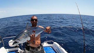 Tonno Alletterato  Pesca a traina con artificiali [upl. by Letnwahs423]