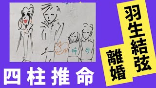 【謎の離婚】羽生結弦夫妻を四柱推命で占いました。何故ダメに？どうすれば良かったのかを考えました [upl. by Eenimod]