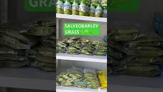 RESTOKED SALVEO BARLEY GRASS🌱🌾 salveobarleygrass ytshorts [upl. by Etnasa670]