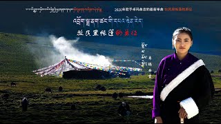 Dolma Choekyi 2020  འབྲོག་སྦྲ་ནག་ཚང་གི་དཔའ་རྟེན་རེད། I 卓玛曲吉 牧民黑帐篷的勇征 [upl. by Enrika]