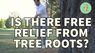 My Ball is on a TREE ROOT free relief  Golf Rules Explained [upl. by Hillinck]