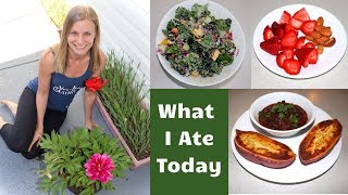 What I Ate Today as a Vegan Nutritarian  Do I Supplement [upl. by Pease]