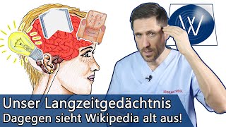 Langzeitgedächtnis Wie unser neuronales Netzwerk unsere Intelligenz amp Erinnerungen bestimmt [upl. by Oiratno]