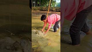 Fishing in village of the pond fishing shots shorts [upl. by Nyrek226]