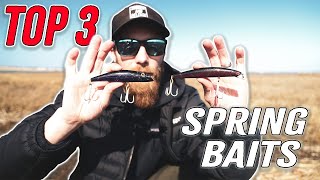 TOP 3 EASIEST BAITS TO USE FOR CATCHING STRIPED BASS [upl. by Aidualc]