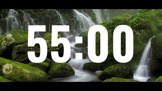 55 minute timer  Forest Background🌲🌲 [upl. by Garek836]