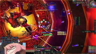 Netherwing WOW TBC  SB Reborn EU Guild 08724 BM hunter POV [upl. by Flosser]