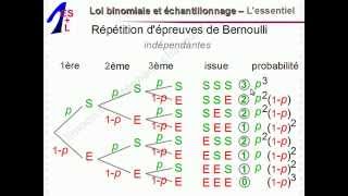 Maths 1èreES et 1èreL  Loi binomiale et échantillonnage  Mathématiques Première ES L 1ES 1L [upl. by Hannavas]