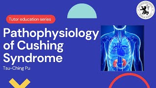 Pathophysiology of Cushing Syndrome [upl. by Kevyn907]