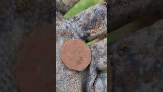 I Am 20p Richer Metal Detecting Wales [upl. by Neimad]