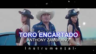 KARAOKE TORO ENCARTADO ANTHONY ZAMBRANO [upl. by Figge]