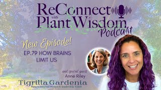 Ep79 How Brains Limit Us with Anne Riley  ReConnect with Plant Wisdom podcast [upl. by Ahsima701]