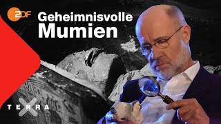 Mumien – Ungelöste Fälle der Archäologie  Harald Lesch  Ganze Folge Terra X [upl. by Aicirtel]