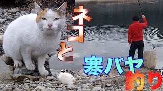 ネコと一緒に寒バヤ釣り Riverfishing Catch amp Eat amp Cat [upl. by Lanford]