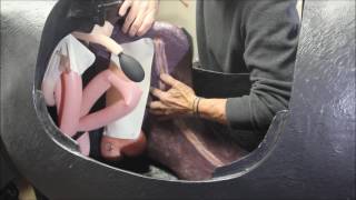 VSI Equine Palpation Colic Simulator [upl. by Iren]