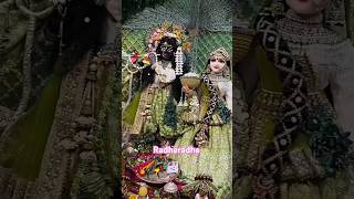 Radhekrishna 😍💞😍💞🙏🙏 shorts ytshorts radhekrishna janmashtami krishna [upl. by Kopple]