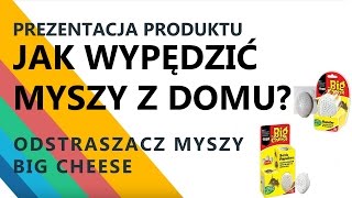 Jak wypędzić myszy z domu przy pomocy ultradźwięków Odstraszacz myszy Big Cheese Sposób na myszy [upl. by Denver396]