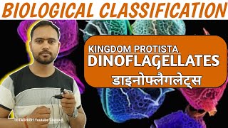 Dinoflagellates in 5 Min Biological Classification  Class 11 Biology  Kingdom protista [upl. by Kask]