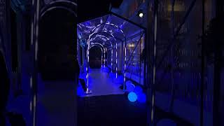 Winter Wonderland LED Light Tunnel [upl. by Sargent]