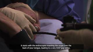 Bournemouth Digestive Diseases Centre Gastroscopy Procedure Subtitled [upl. by Paradies]