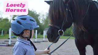 Horse Song for Children Toddlers  Kids Songs and Nursery Rhymes  Learn Farm Animals [upl. by Brunella650]