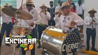 BANDA ENCINERA  Ritmo Prendedor Carnaval 2022 San Mateo Ozolco Puebla [upl. by Bartosch]