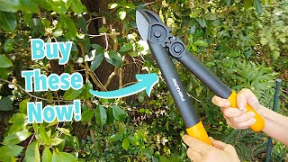 We Found the BEST Loppers for Lawn Care [upl. by Surazal]