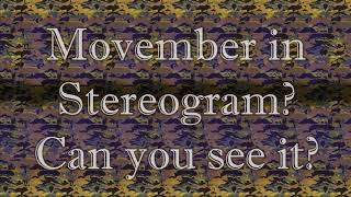 Movember in Stereogram What can you see [upl. by Ecarg]