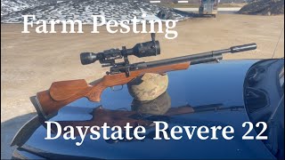 Pesting Video Daystate Revere 22 daystate daystaterevere daystateairguns farmpesting [upl. by Amsab]