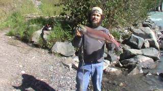 Red Salmon Fishing on the Klutina River Copper River Red Salmon [upl. by Elam411]