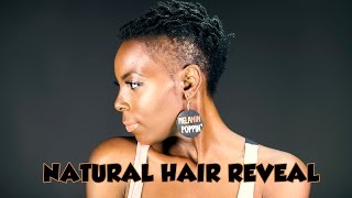 NATURAL HAIR REVEAL  TUTORIAL [upl. by Anifled785]