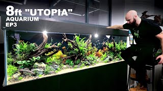 Building Utopia 8ft Planted Aquarium FINAL [upl. by Scrivens]